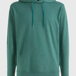 TOMMY HILFIGER-FELPA ESSENTIAL CON CAPPUCCIO E LOGO Verde
