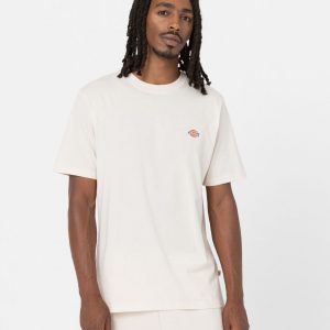 DICKIES - T-Shirt Mapleton a Maniche Corte Grigio Spuma