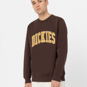 DICKIES - Felpa Uomo Aitkin Caffè